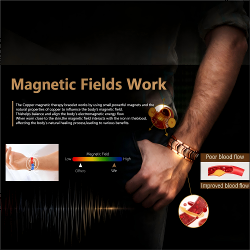 1762238998191513.jpg magnetic fields work.jpg